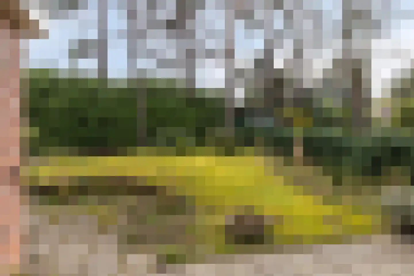 Vermeerstraat 3 Son en Breugel thumbnail 40