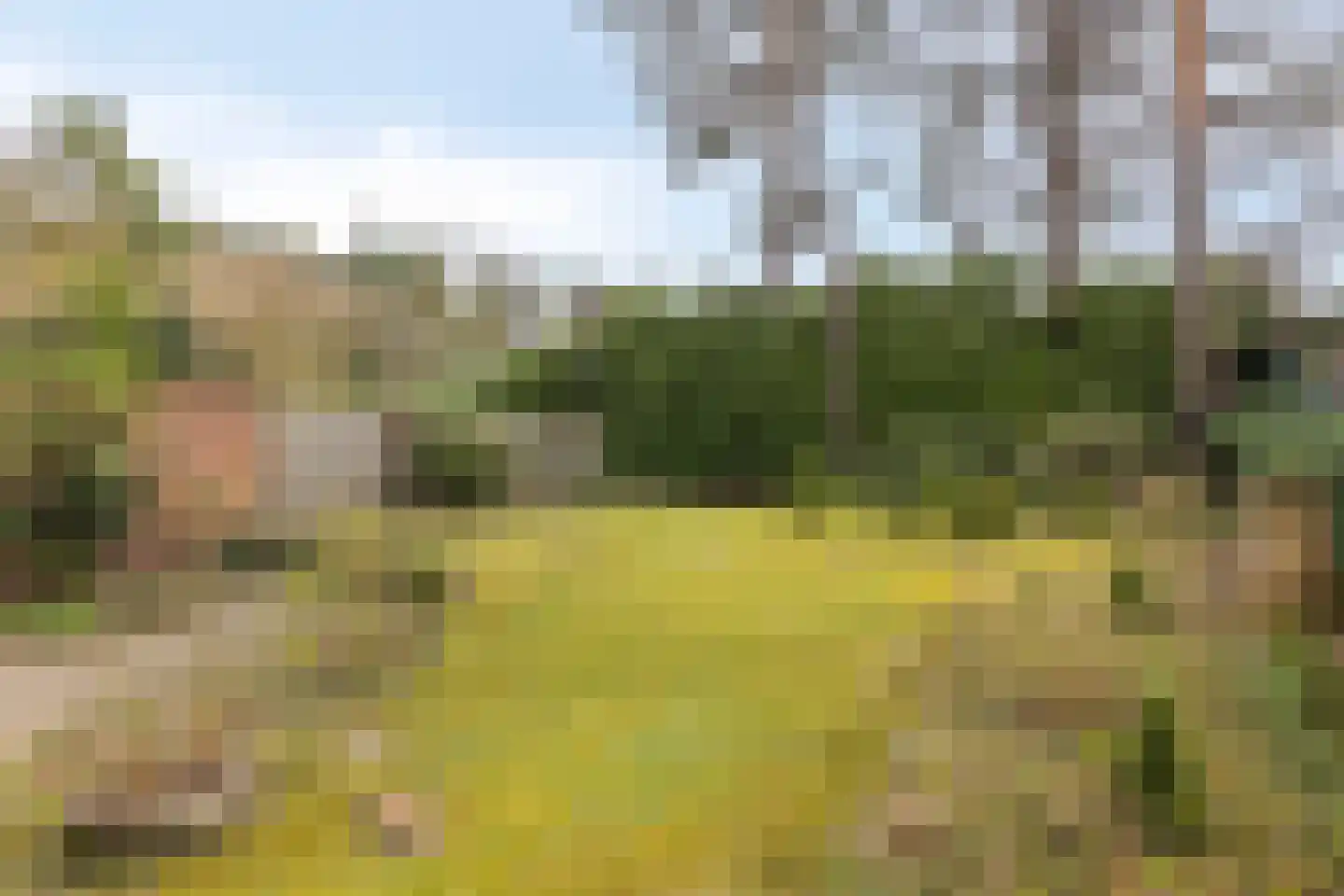 Vermeerstraat 3 Son en Breugel thumbnail 41