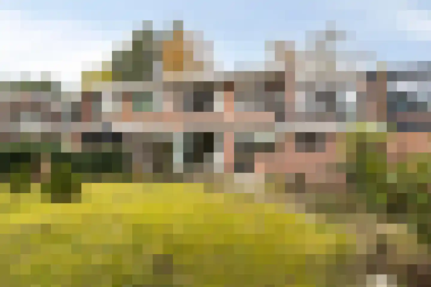 Vermeerstraat 3 Son en Breugel thumbnail 42