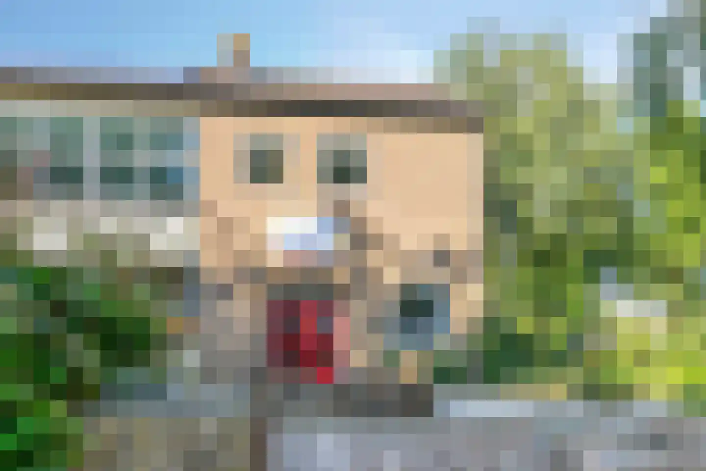 Vermeerstraat 31 Deventer thumbnail 20