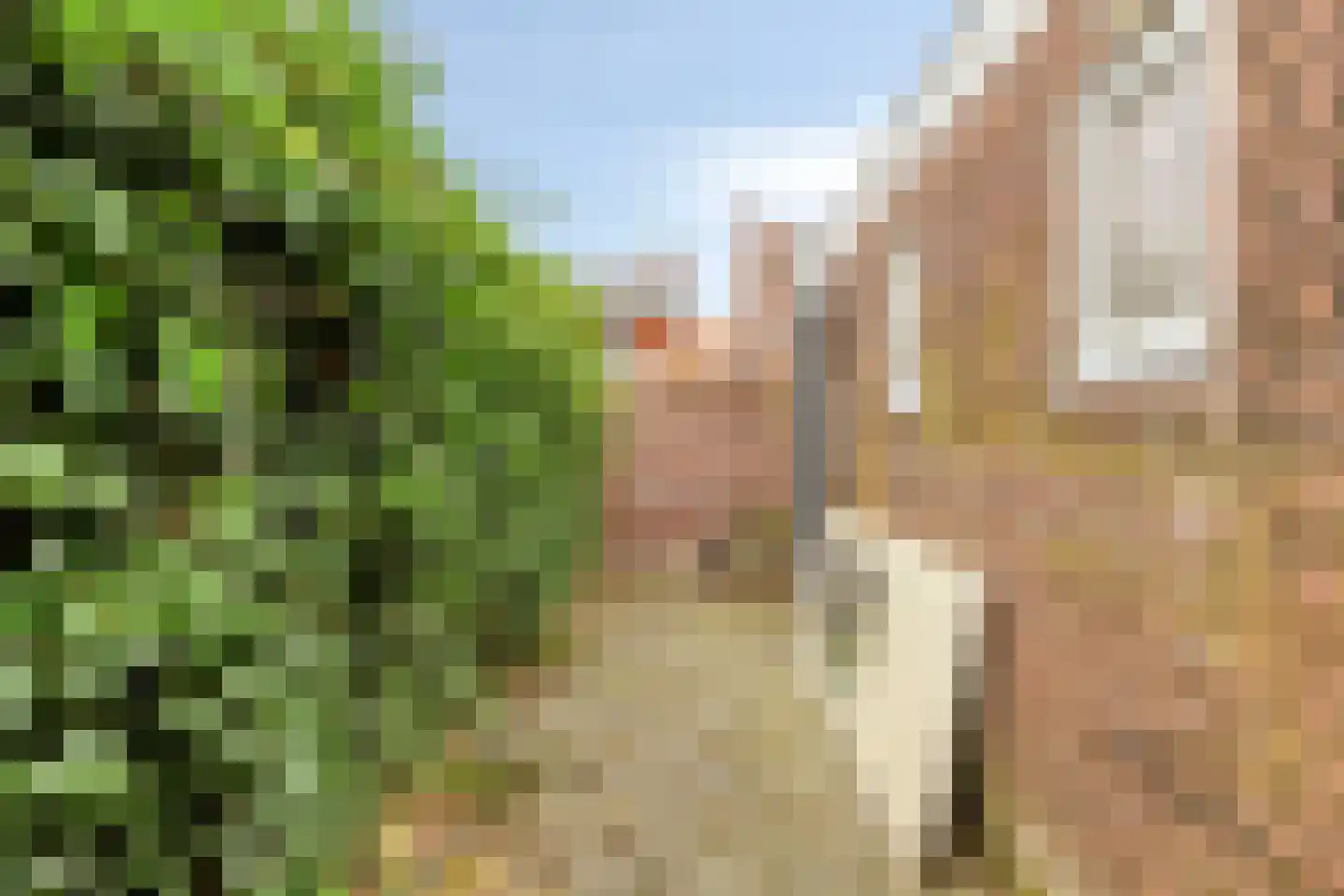 Vermeerstraat 33 Leeuwarden thumbnail 26