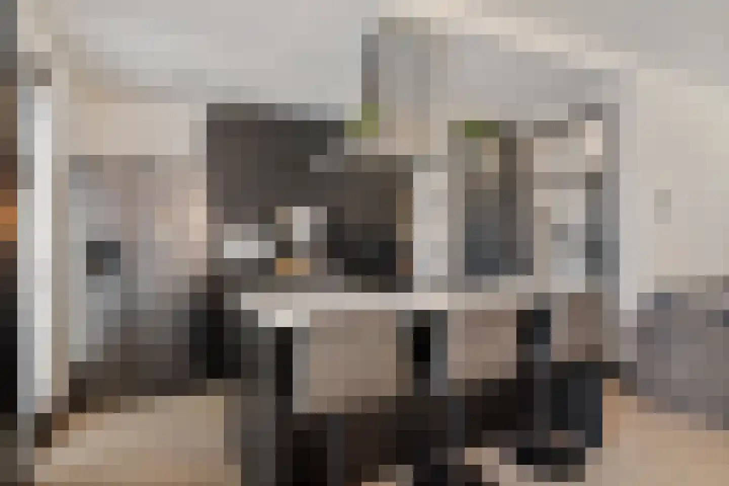 Vermeerstraat 34 Zoetermeer thumbnail 13