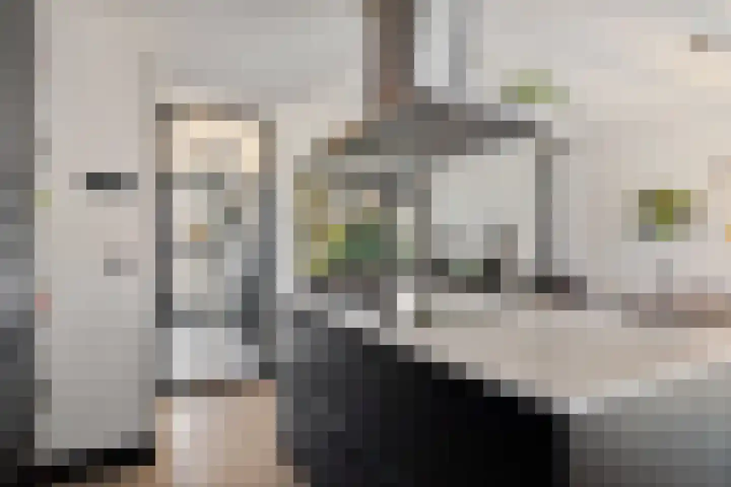 Vermeerstraat 34 Zoetermeer thumbnail 14