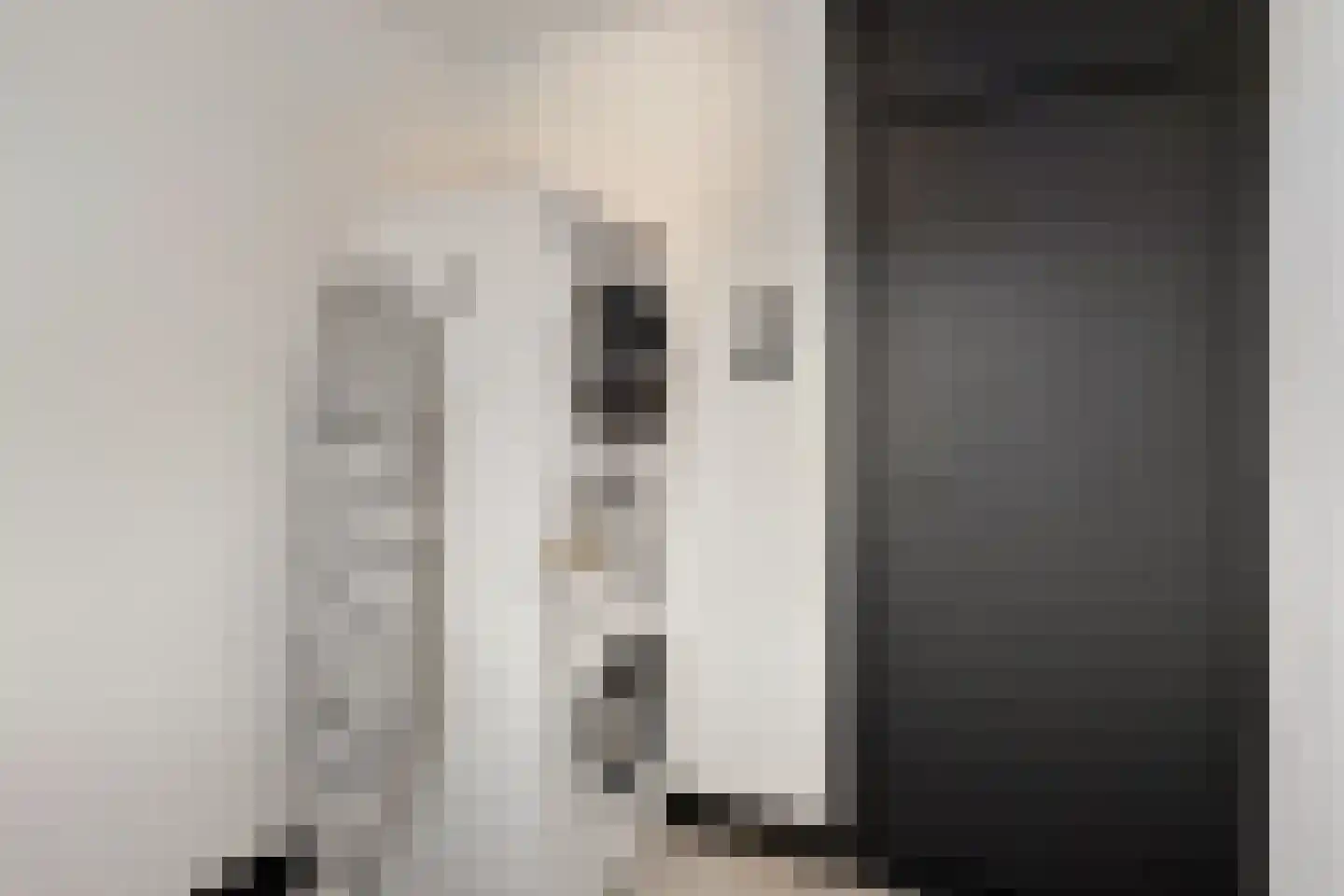 Vermeerstraat 34 Zoetermeer thumbnail 33