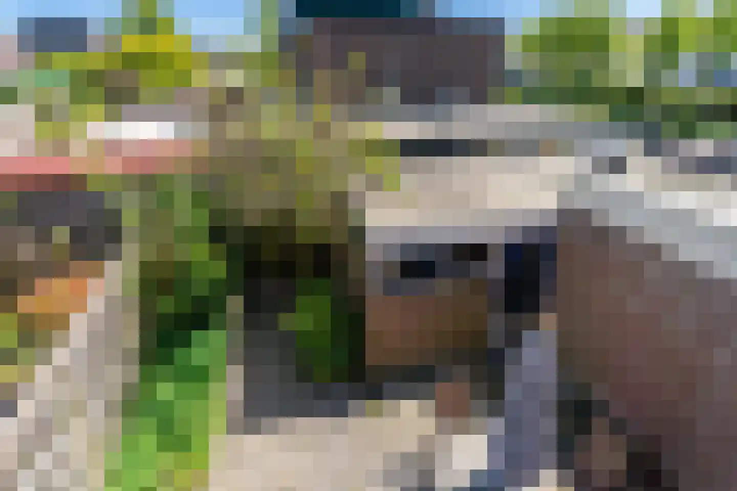 Vermeerstraat 34 Zoetermeer thumbnail 35