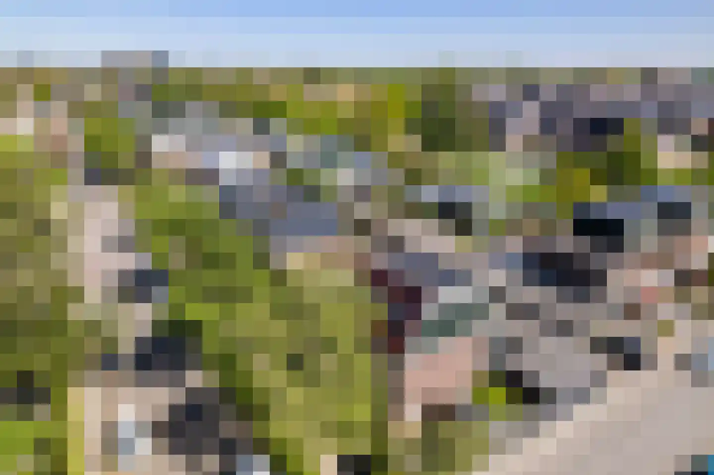 Vermeerstraat 34 Zoetermeer thumbnail 41