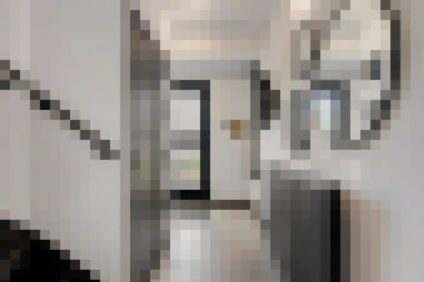 Vermeerstraat 34 Zoetermeer thumbnail 5