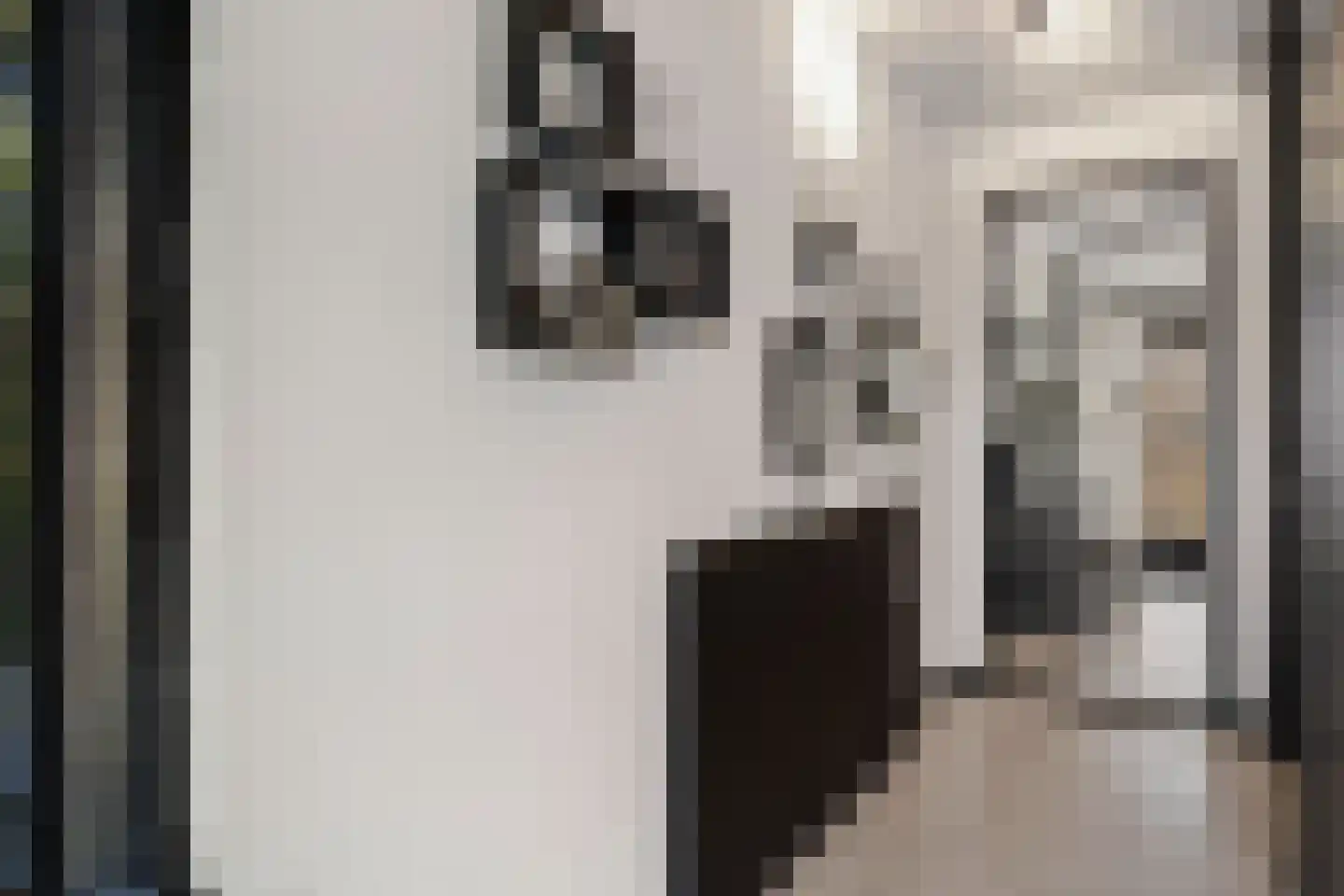 Vermeerstraat 34 Zoetermeer thumbnail 6