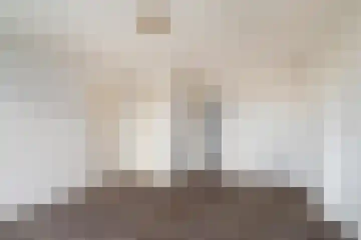 Vermeerstraat 39 Zoetermeer thumbnail 10