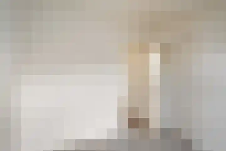 Vermeerstraat 39 Zoetermeer thumbnail 14