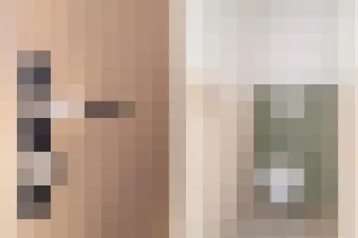 Vermeerstraat 39 Zoetermeer thumbnail 19
