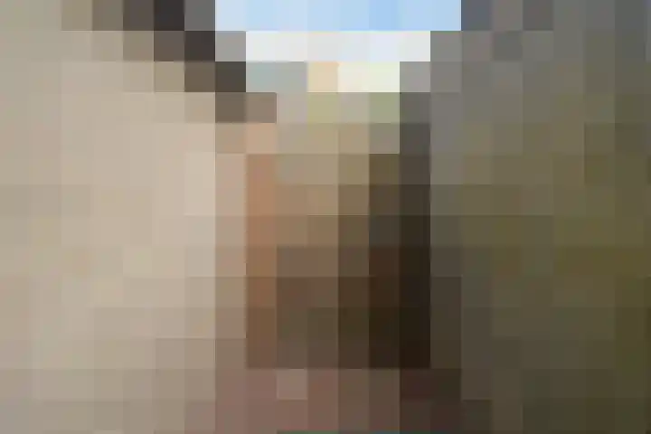 Vermeerstraat 39 Zoetermeer thumbnail 28