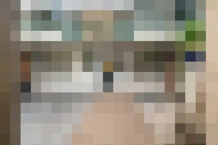 Vermeerstraat 39 Zoetermeer thumbnail 30