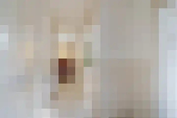 Vermeerstraat 39 Zoetermeer thumbnail 32