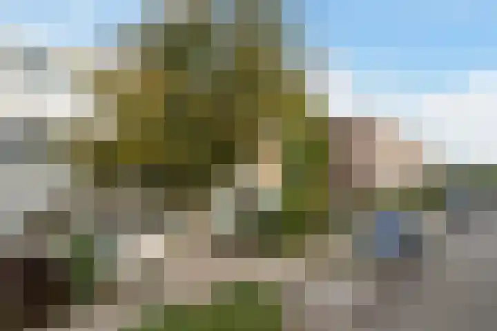 Vermeerstraat 39 Zoetermeer thumbnail 35