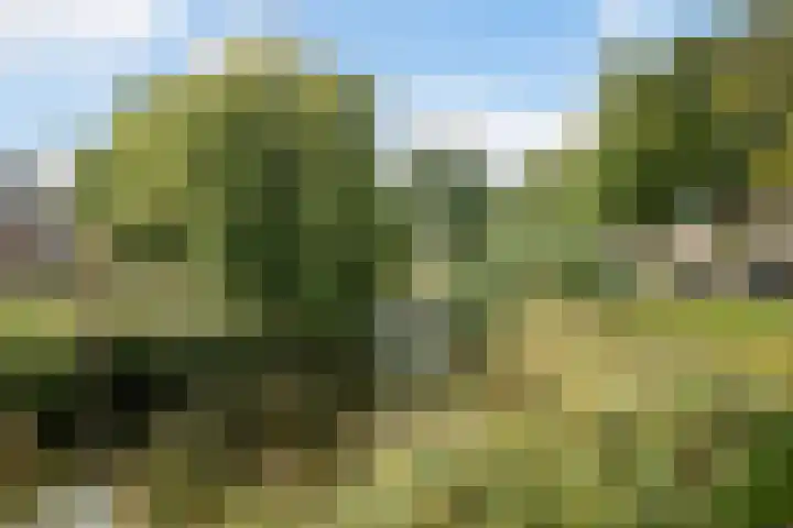 Vermeerstraat 39 Zoetermeer thumbnail 38