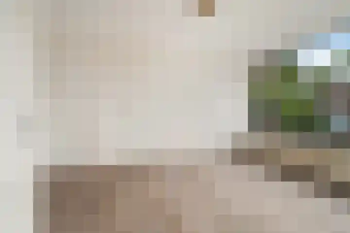 Vermeerstraat 39 Zoetermeer thumbnail 7