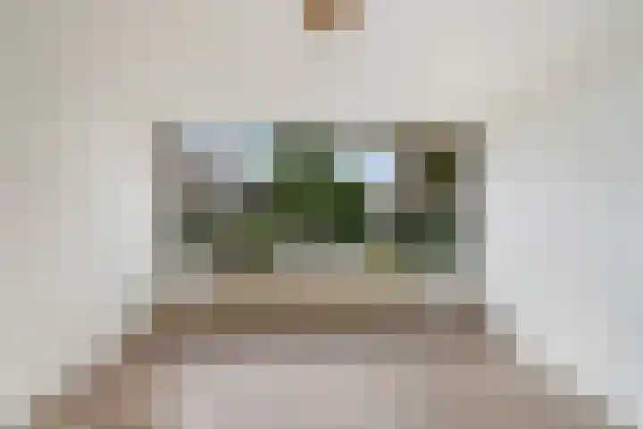 Vermeerstraat 39 Zoetermeer thumbnail 8