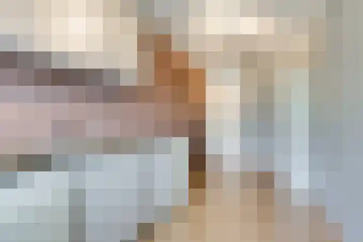 Vermeerstraat 4 Bleiswijk thumbnail 10