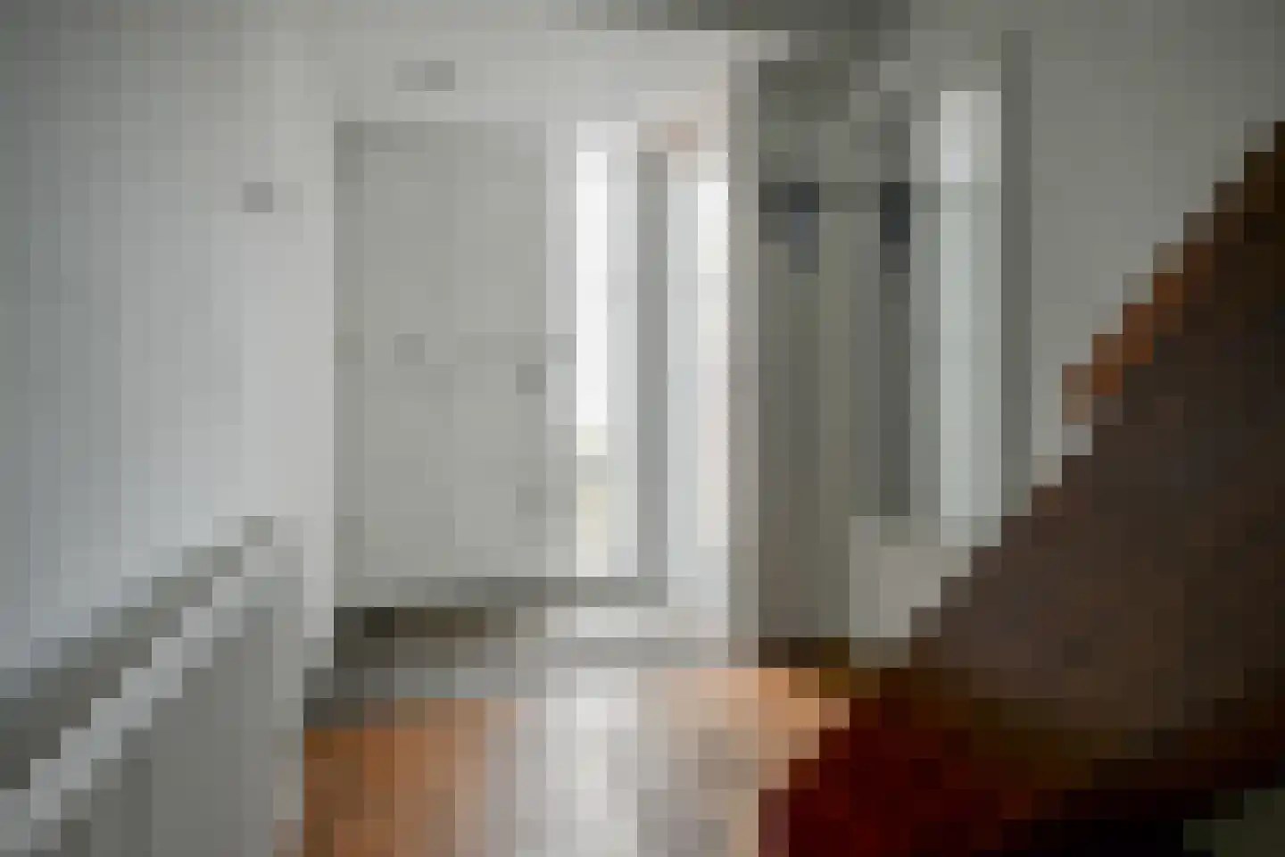Vermeerstraat 4 Bleiswijk thumbnail 10