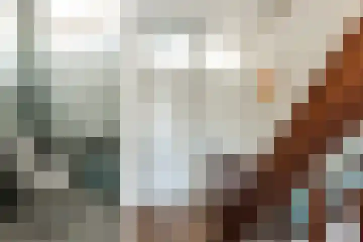 Vermeerstraat 4 Bleiswijk thumbnail 11
