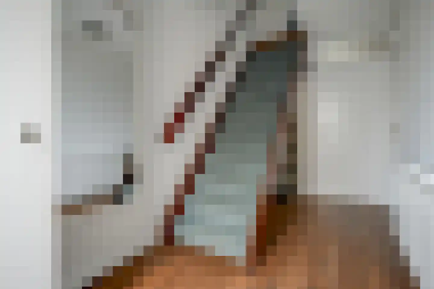 Vermeerstraat 4 Bleiswijk thumbnail 11