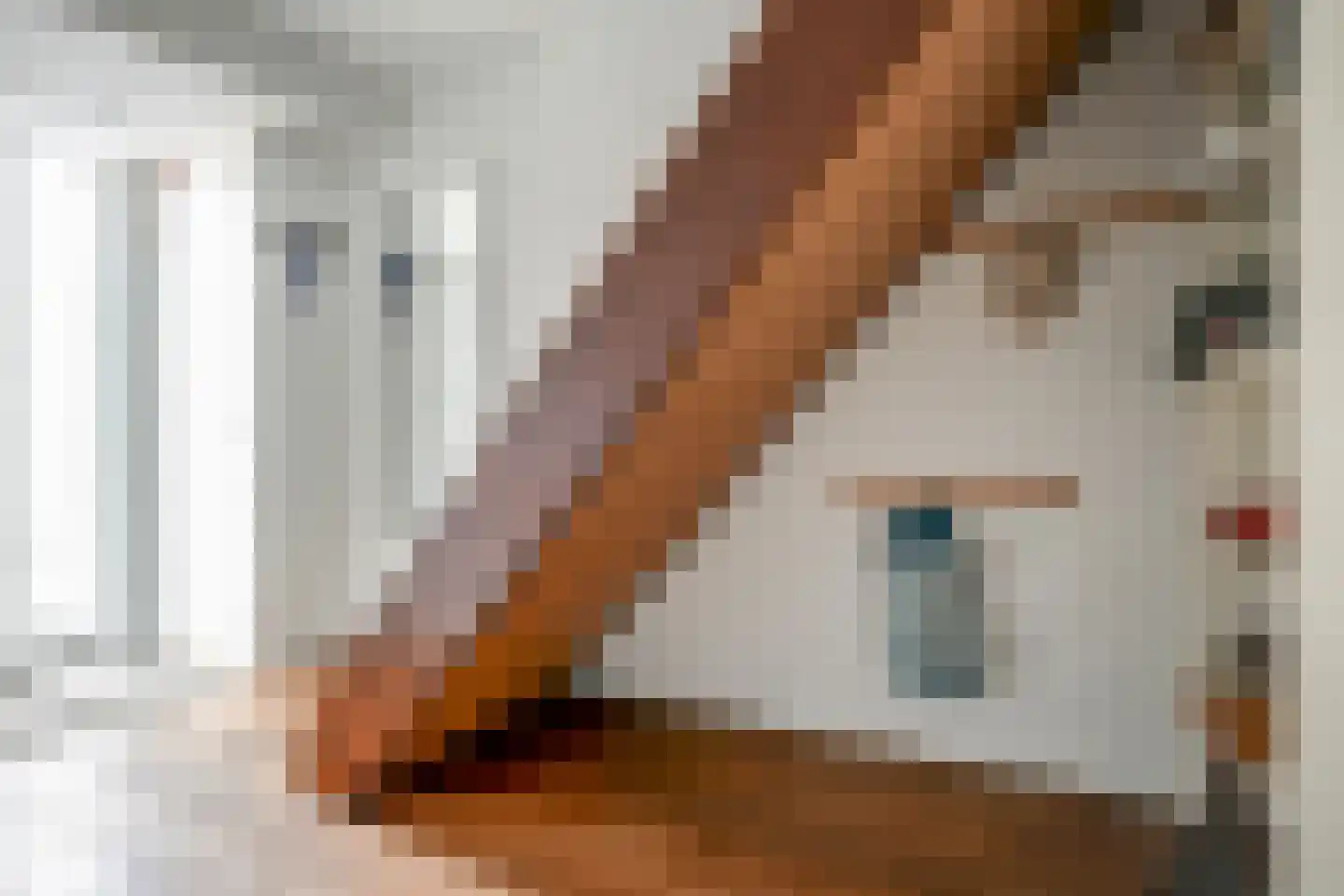 Vermeerstraat 4 Bleiswijk thumbnail 12