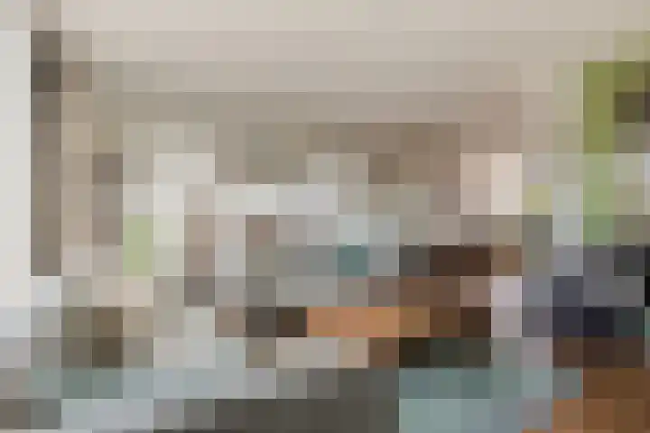 Vermeerstraat 4 Bleiswijk thumbnail 13