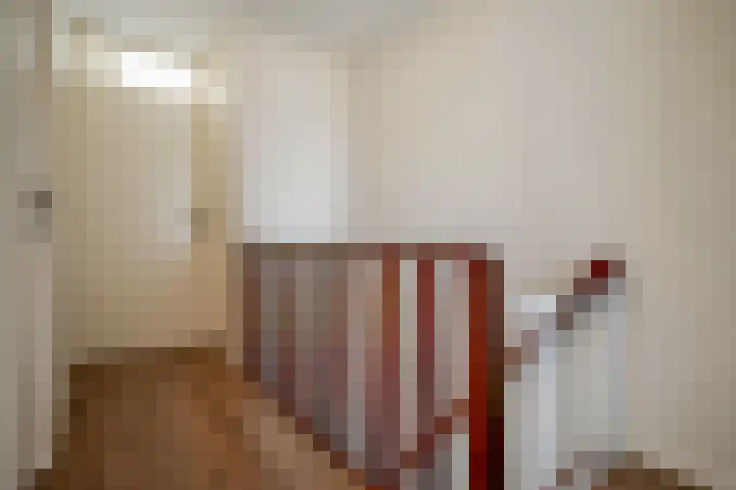Vermeerstraat 4 Bleiswijk thumbnail 14