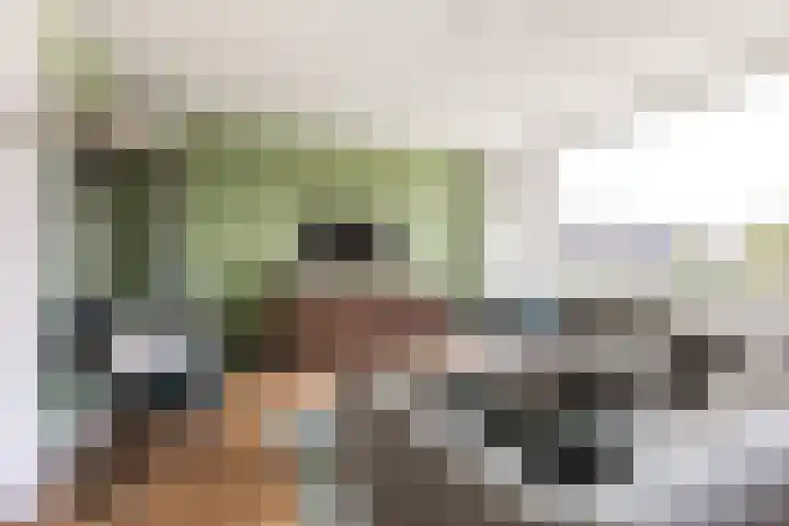 Vermeerstraat 4 Bleiswijk thumbnail 15