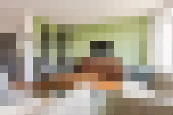 Vermeerstraat 4 Bleiswijk thumbnail 16