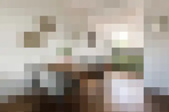 Vermeerstraat 4 Bleiswijk thumbnail 19
