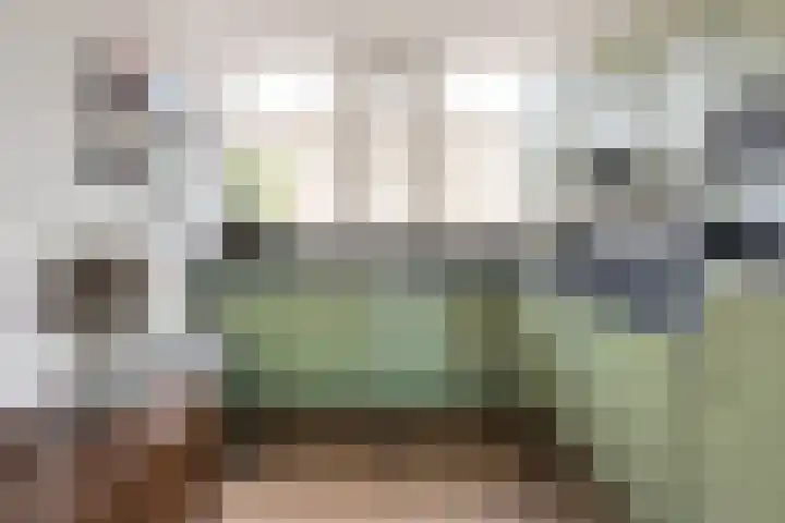 Vermeerstraat 4 Bleiswijk thumbnail 20