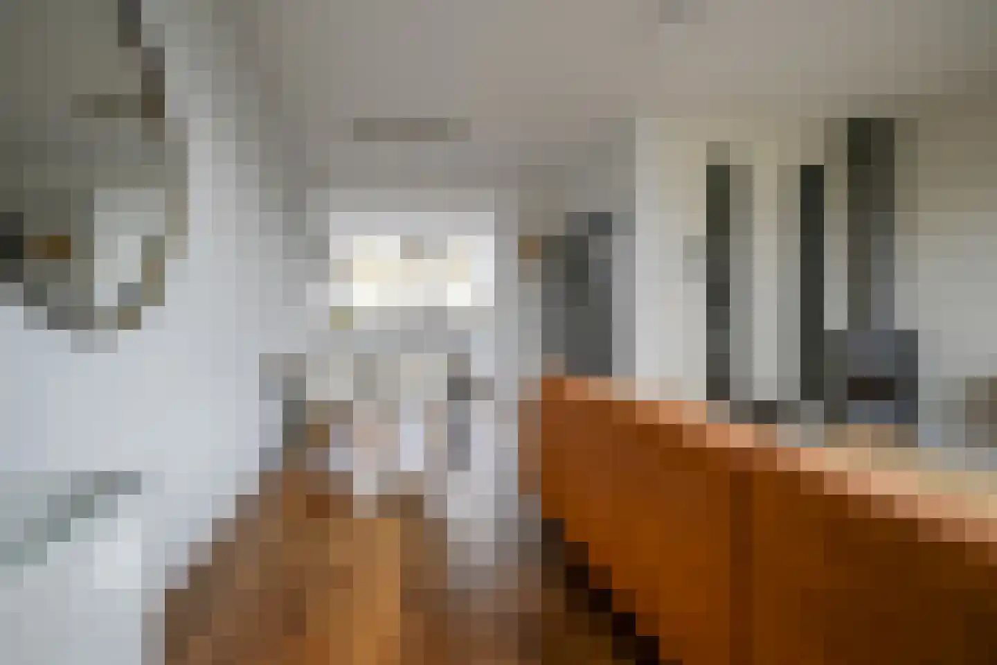 Vermeerstraat 4 Bleiswijk thumbnail 20
