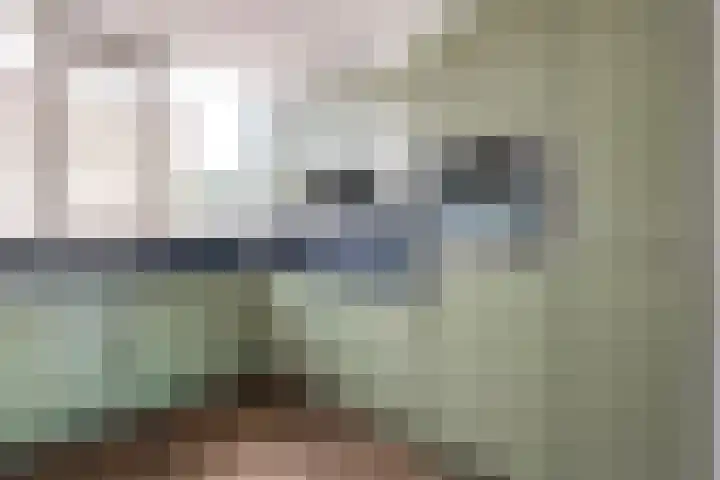 Vermeerstraat 4 Bleiswijk thumbnail 21