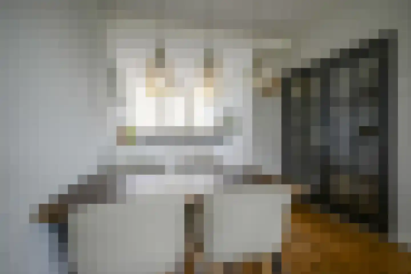Vermeerstraat 4 Bleiswijk thumbnail 22