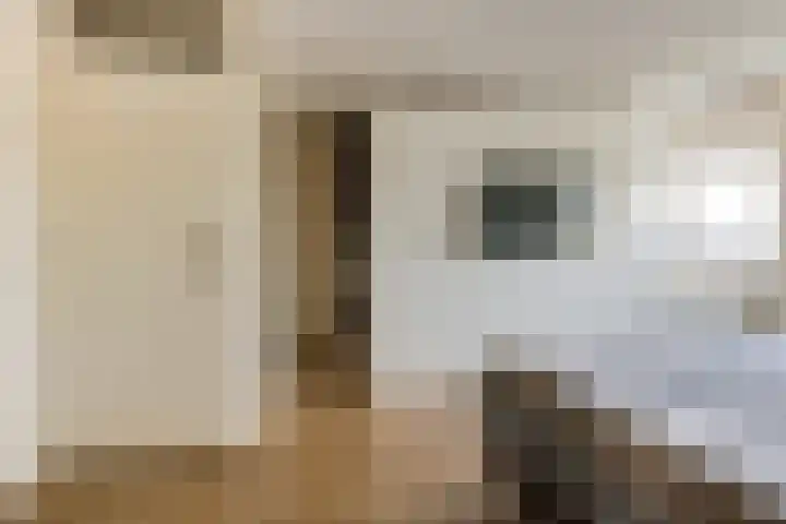 Vermeerstraat 4 Bleiswijk thumbnail 25