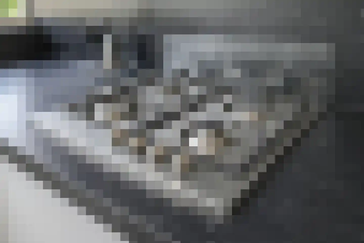Vermeerstraat 4 Bleiswijk thumbnail 25
