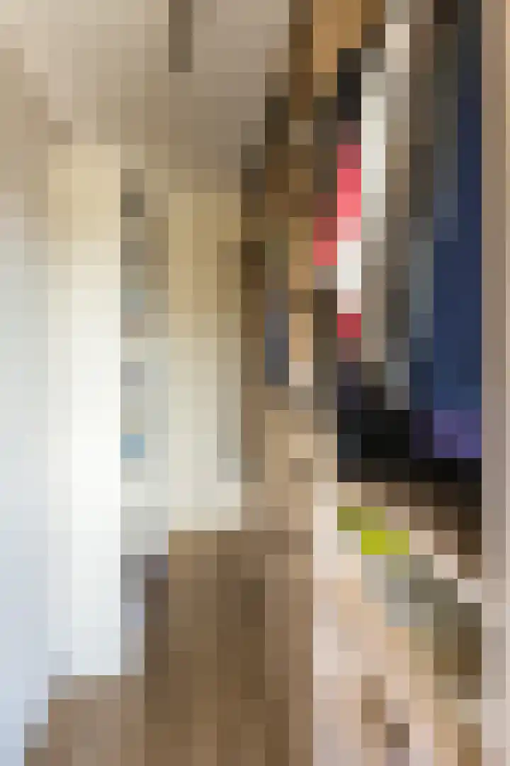 Vermeerstraat 4 Bleiswijk thumbnail 26