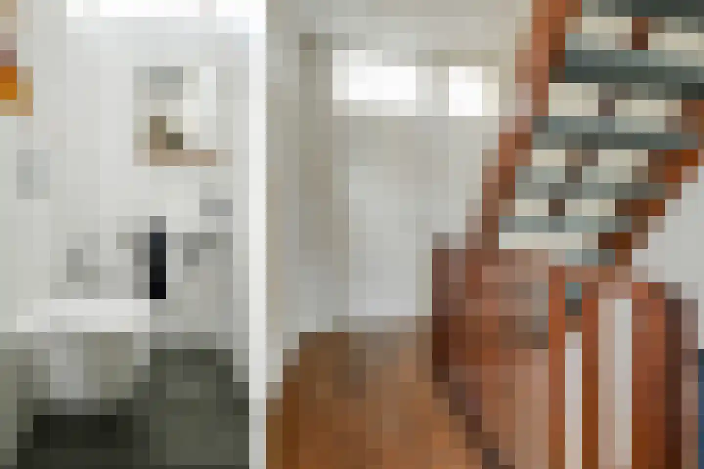 Vermeerstraat 4 Bleiswijk thumbnail 27