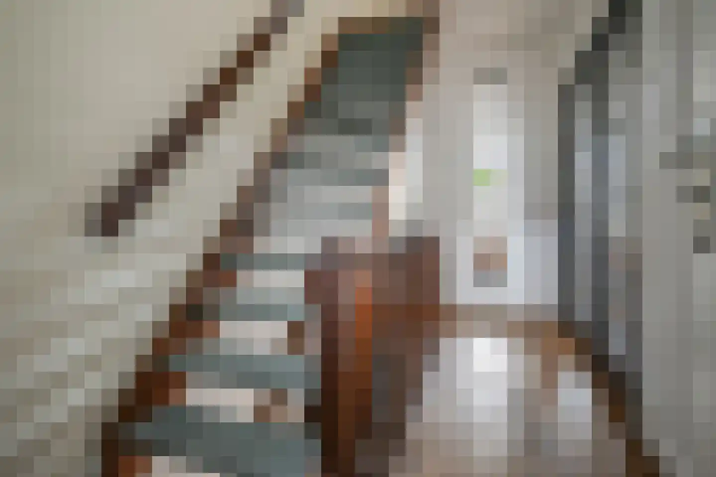 Vermeerstraat 4 Bleiswijk thumbnail 28