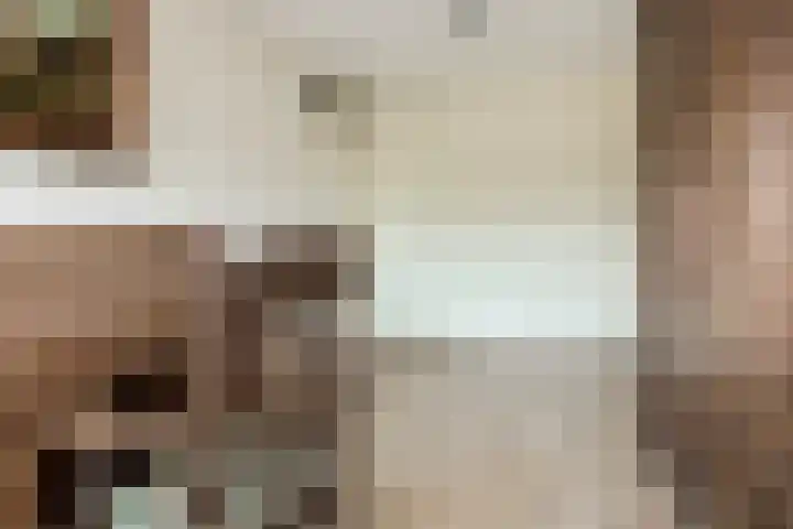 Vermeerstraat 4 Bleiswijk thumbnail 29
