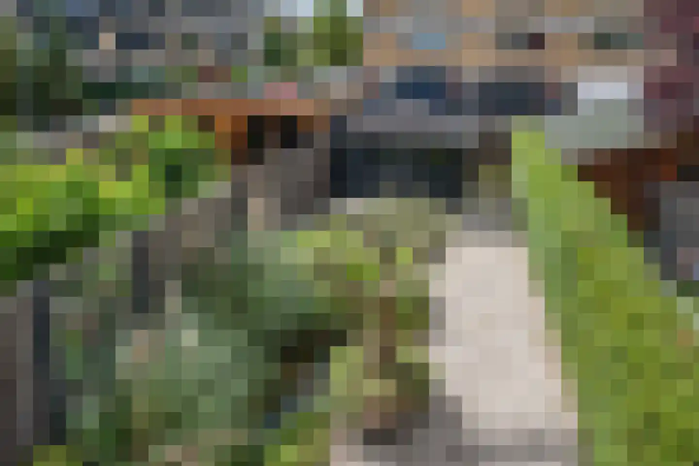 Vermeerstraat 4 Bleiswijk thumbnail 29