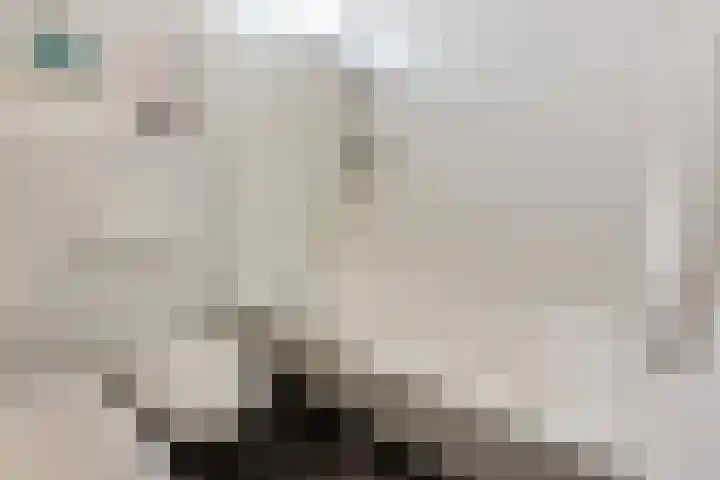 Vermeerstraat 4 Bleiswijk thumbnail 31