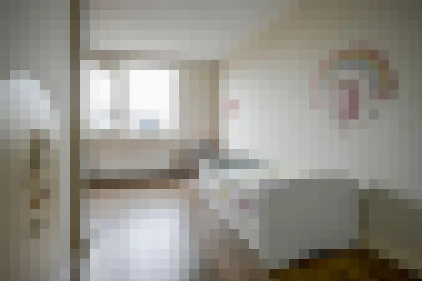 Vermeerstraat 4 Bleiswijk thumbnail 33