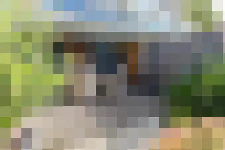 Vermeerstraat 4 Bleiswijk thumbnail 34