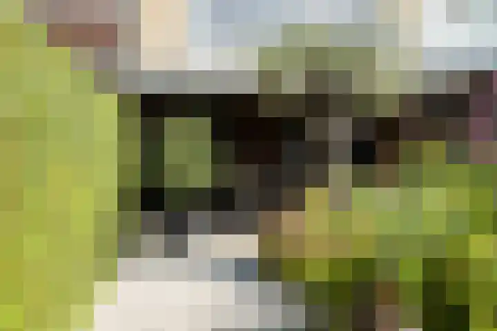 Vermeerstraat 4 Bleiswijk thumbnail 35