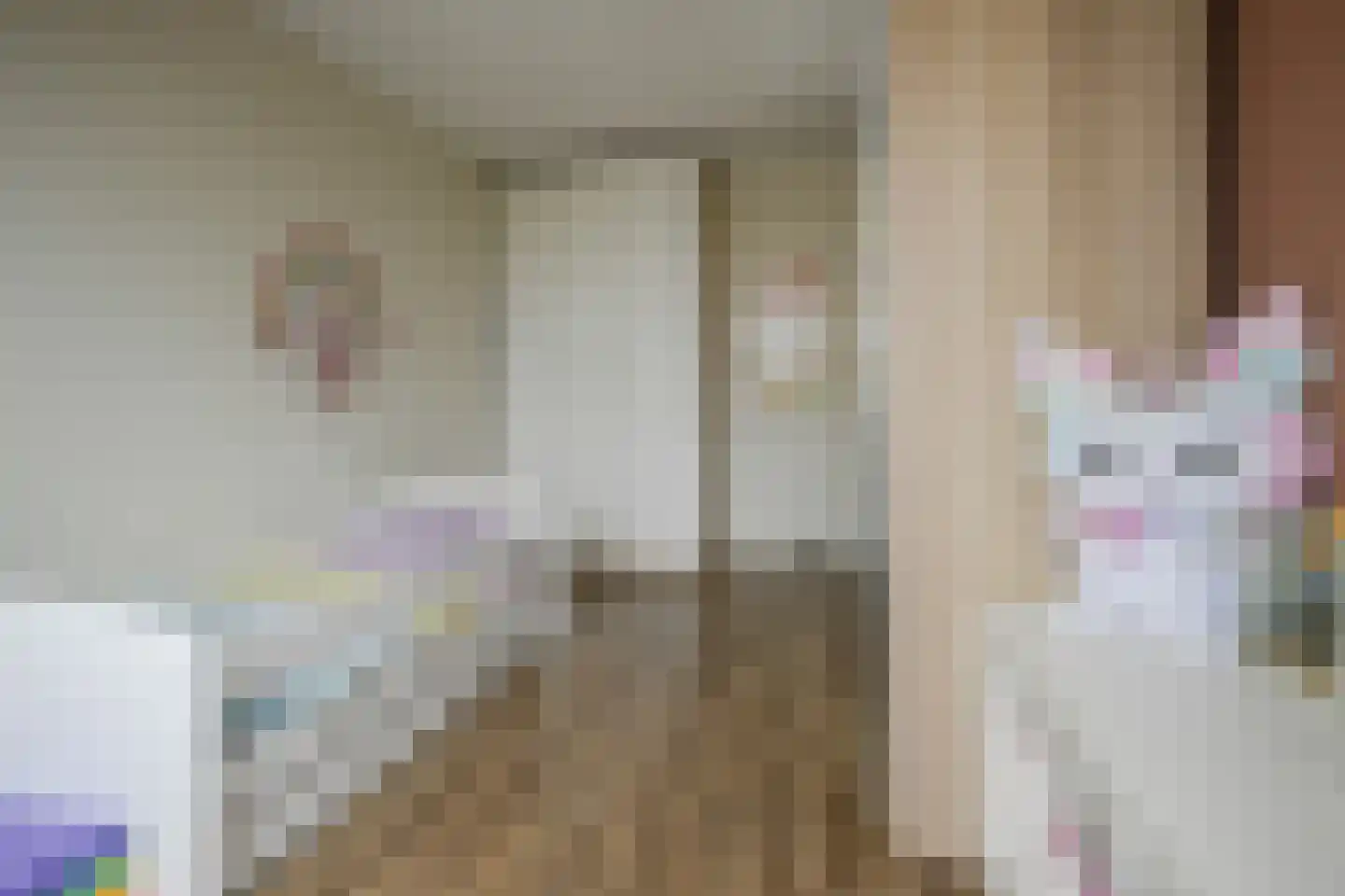 Vermeerstraat 4 Bleiswijk thumbnail 35