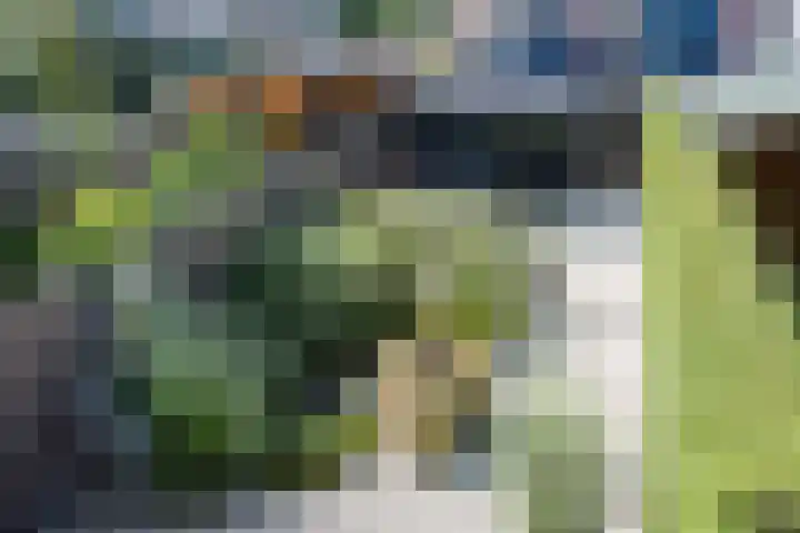 Vermeerstraat 4 Bleiswijk thumbnail 37