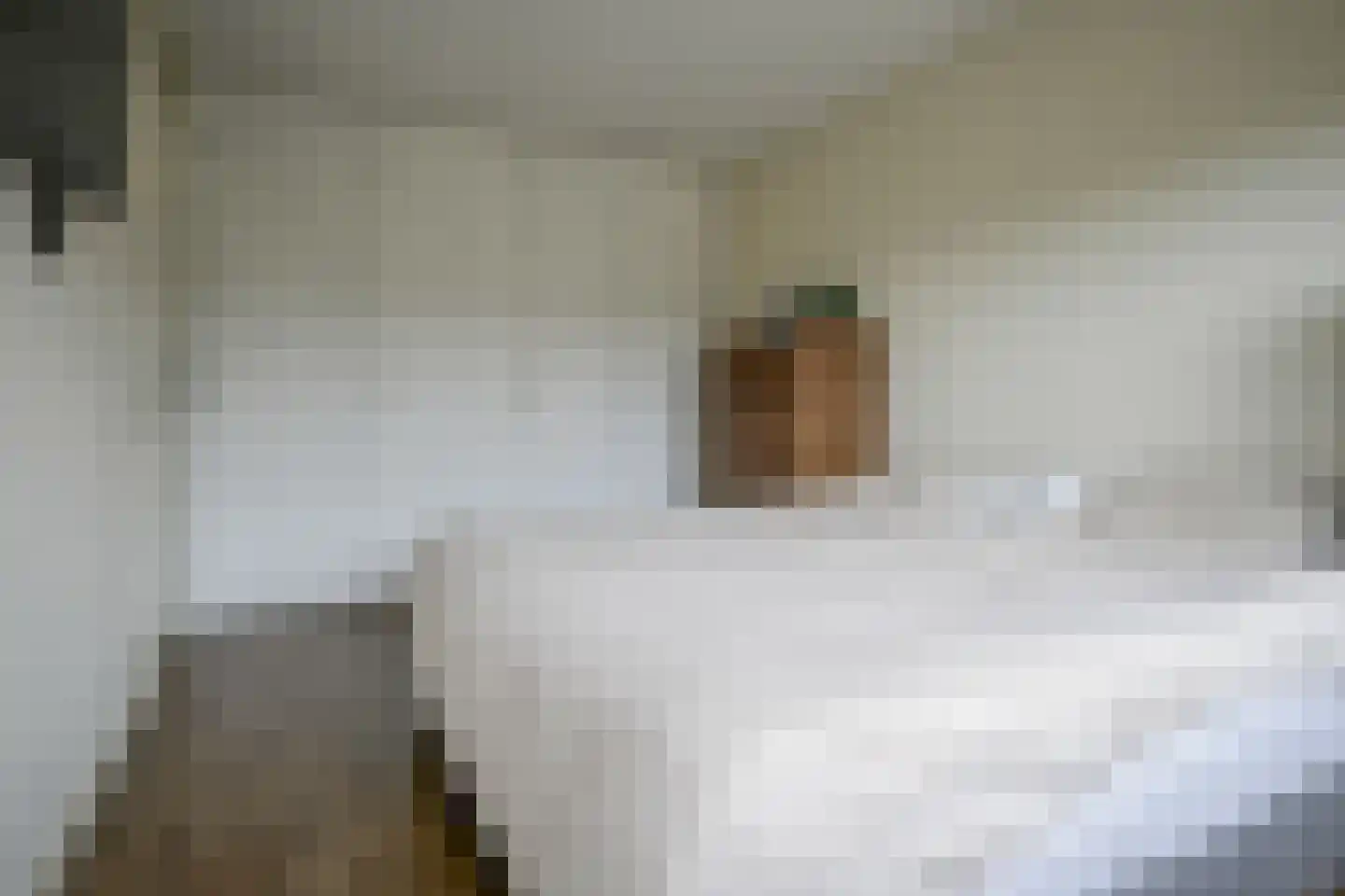 Vermeerstraat 4 Bleiswijk thumbnail 38